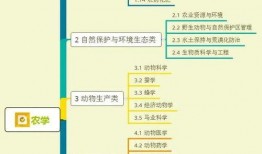 娱乐爆料图片图文大全集,图文大全集深度解析