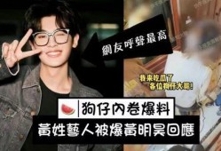 姓汪的男艺人爆料视频播放,揭秘娱乐圈不为人知的一面