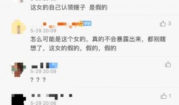 扒爷爆料霍汶希视频大全,霍汶希视频大全背后的真相与争议