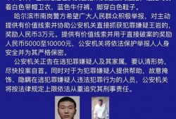 近期刑事案件新闻纪实爆料,揭秘近期惊心动魄的刑事案件纪实