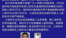 近期刑事案件新闻纪实爆料,揭秘近期惊心动魄的刑事案件纪实