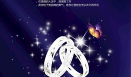 娱乐爆料图片图文大全集,图文大全集深度解析