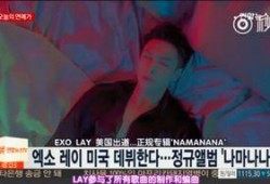 艺兴最新爆料消息新闻报道,揭秘娱乐圈幕后真相