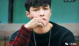 娱乐圈吃瓜直播间张艺兴,娱乐圈吃瓜直播间的焦点人物