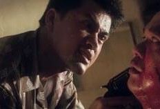 坡豪在线观看视频,揭秘热门视频背后的精彩故事