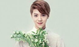 exo鹿晗最新爆料,EXO幕后故事与个人心路历程