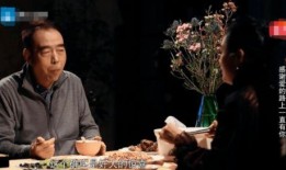 阿瑟爆料陈凯歌视频播放,真相背后引人深思