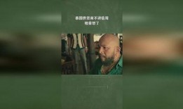 坡豪在线观看视频,揭秘热门视频背后的精彩故事