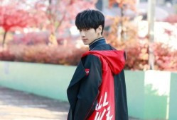 娱乐爆料君罗云熙,娱乐爆料君揭秘明星幕后故事