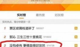 卓伟爆料娱乐场面视频,娱乐圈幕后娱乐场面大曝光