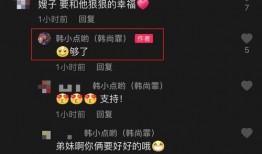 扒爷爆料霍汶希视频大全,霍汶希视频大全背后的真相与争议