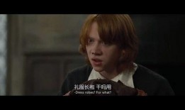 哈利爆料母亲视频大全,母亲视频背后的感人故事大盘点