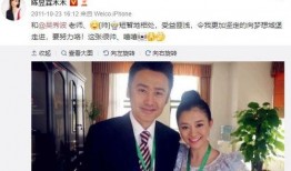 刘培爆料吴秀波视频播放,真相与争议并存