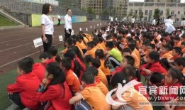 西江中学爆料新闻最新,揭秘校园里的惊人真相！