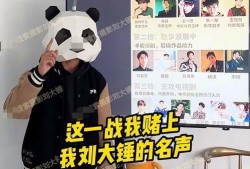 大锤爆料最新视频大全,揭秘娱乐圈幕后真相