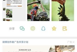 七月爆料视频大全全集,揭秘热点事件，还原真相瞬间