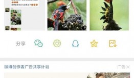 七月爆料视频大全全集,揭秘热点事件，还原真相瞬间