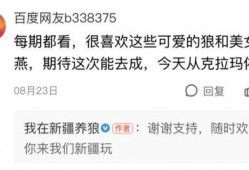 大力最近爆料视频播放网站,最新爆款视频网站，大力爆料带你一探究竟！