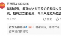 大力最近爆料视频播放网站,最新爆款视频网站，大力爆料带你一探究竟！