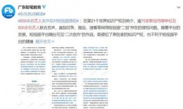 爆料博主被抓视频播放,爆料博主被抓幕后真相，视频播放引发热议