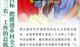 辉煌农村爆料视频,辉煌爆料视频深度解析