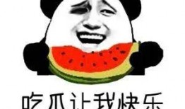 八卦哥免费吃瓜群,揭秘娱乐圈幕后故事，带你畅游娱乐八卦盛宴