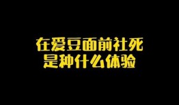 娱乐圈爆料热点素材视频,揭秘明星背后的秘密与争议