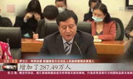 新疆记者爆料新闻视频大全,新闻视频大全深度解析