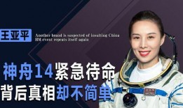 警花爆料视频大全,揭秘视频大全背后的真实故事