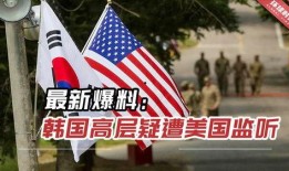 最新爆料韩国高层,权力斗争与政策走向深度剖析”