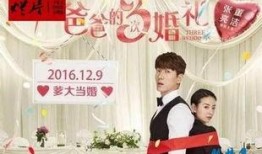 爸爸3次婚礼在线观看,见证爱情的三次绽放