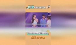娱乐圈爆料热点素材视频,揭秘明星背后的秘密与争议