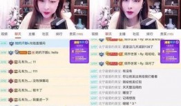 娱乐爆料主播间TXT,TXT背后的故事与精彩瞬间