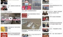 宁晋爆料新闻最新事件,揭秘事件背后惊人真相