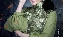 老九门 电视剧在线观看,探秘民国奇案，揭秘神秘家族传奇