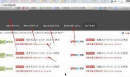 在线v观看网址,揭秘在线视频观看网址背后的故事