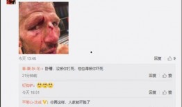 平安大爷爆料林渣渣视频,真相大白引热议