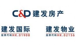 建发国际集团最新爆料,揭秘企业转型与市场布局新动向